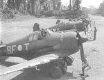 5sqnRAAF9.jpg