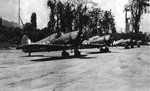 5sqnRAAF11.jpg