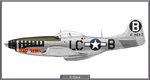 P51D_77FS_Site.jpg