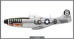 P51D_77FS_Site.jpg