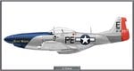 P51D_328FS_Site.jpg
