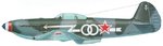 yak3_.jpg