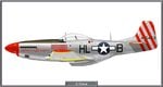 P51D_308FS_Site.jpg