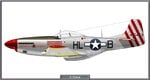 P51D_308FS_Site.jpg