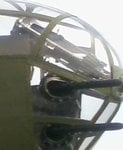 Crop1.jpg