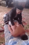1487768964129560499.gif