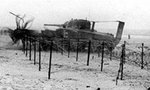 crab_tank_472.jpg