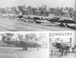 rafmitchells_545.jpg