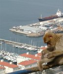 gib_5_143.jpg