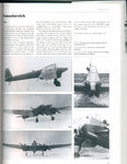 tomashevich_pegas_04_260.jpg