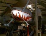 bf_-110g__shark_835.jpg