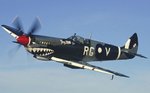 spitfire__shark_492.jpg