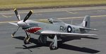 mustang3_195.jpg