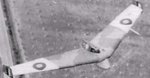 bat_196.jpg