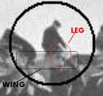 spitfire_man_on_wing_1952_196.jpg