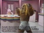 perfectrace_164.jpg