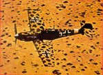 0109camo_176.jpg