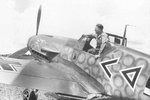 Me109-F2 Hahn with wurm.JPG