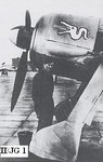Tatzelwurm of II  JG 1.JPG
