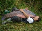 iluvcarp5fo.jpg
