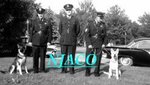 dog04a.jpg