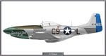 P51D_370FS_Site.jpg