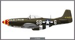 P51D_363FS_Site.jpg