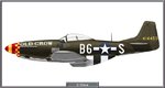 P51D_363FS_Site.jpg