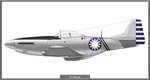 P51D_China_Nat_Site.jpg
