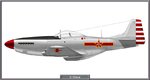 P51D_China_Rep_Site.jpg
