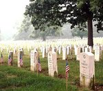 flags2.JPG