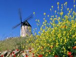 Consuegra, Spain.jpg