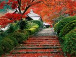 Garden Staircase, Kyoto, Japan.jpg
