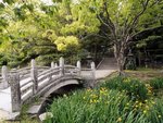 Hagi Castle Garden, Western Honshu, Japan.jpg