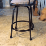 1494009982170962948.gif