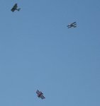 1342 1_1_1.jpg