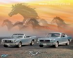 6566 Mustangs.jpg