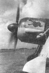 fw190.jpg