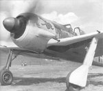 FW190-A3-51s.jpg