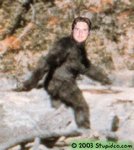 bigfoot.jpg