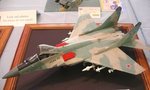 Mig 29 wa_6323.jpg