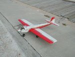 fly01.JPG