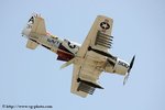 DSC_0931.jpg