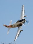 DSC_0964.jpg