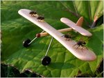 FlyPoweredPlane001.jpg
