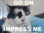 goonimpressme.jpg