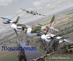 mosquit8.jpg