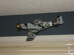 2004_0101Models0001.jpg