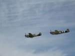 IMG_1505 1_1_1.jpg