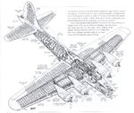 b-17cutaway.jpg